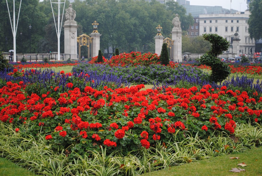 Gardens outside Buckingham Palace
